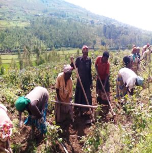 Poverty Alleviation